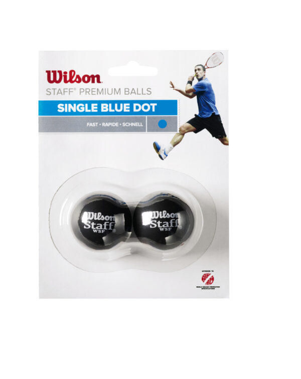 Wilson Squash Ball blau
